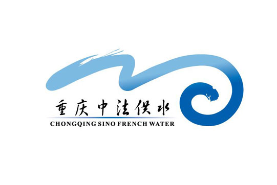 重庆中法供水不锈钢橡胶接头项目案例