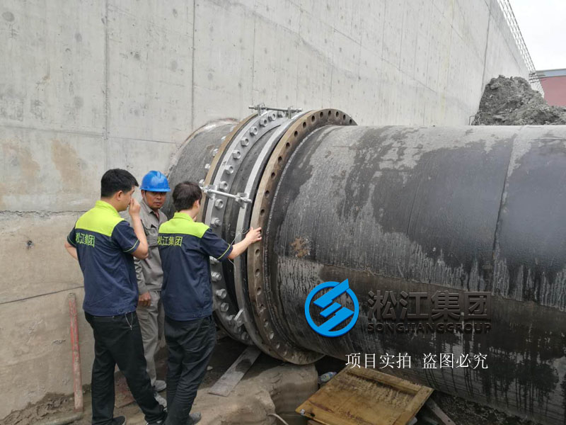 上海市竹园污水处理厂橡胶接头使用现场