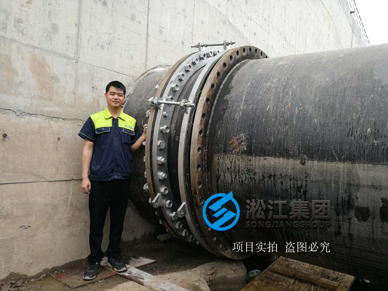 上海市竹园污水处理厂橡胶接头使用现场