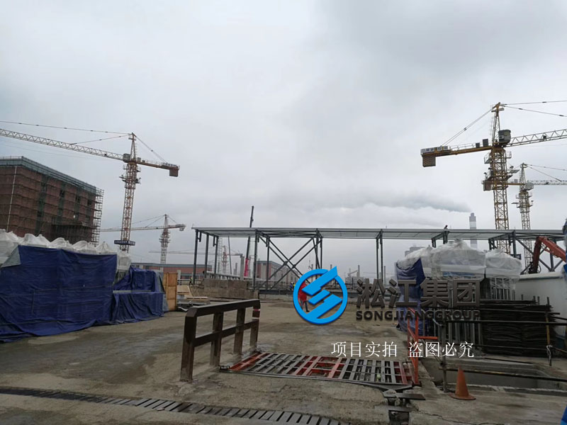 上海市竹园污水处理厂橡胶接头使用现场