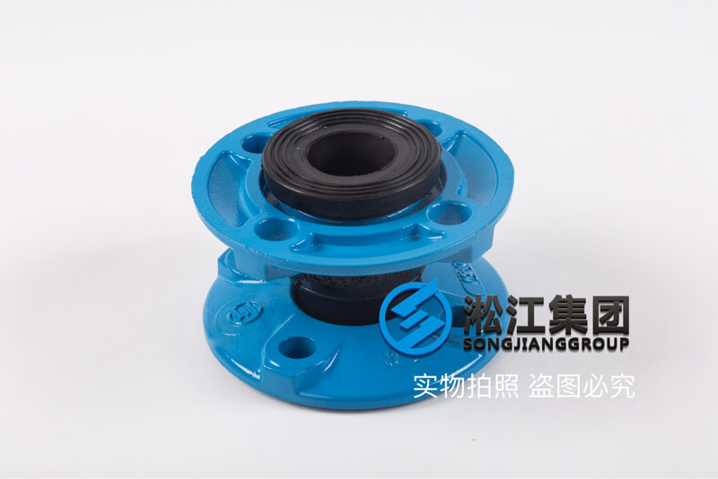 株洲球墨法兰DN40橡胶接头