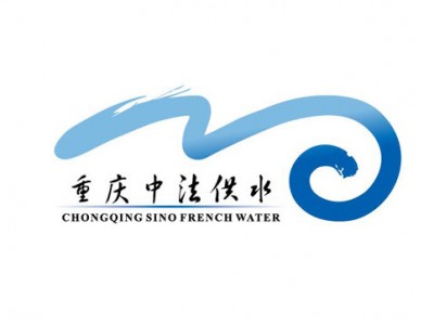 重庆中法供水不锈钢橡胶接头项目案例